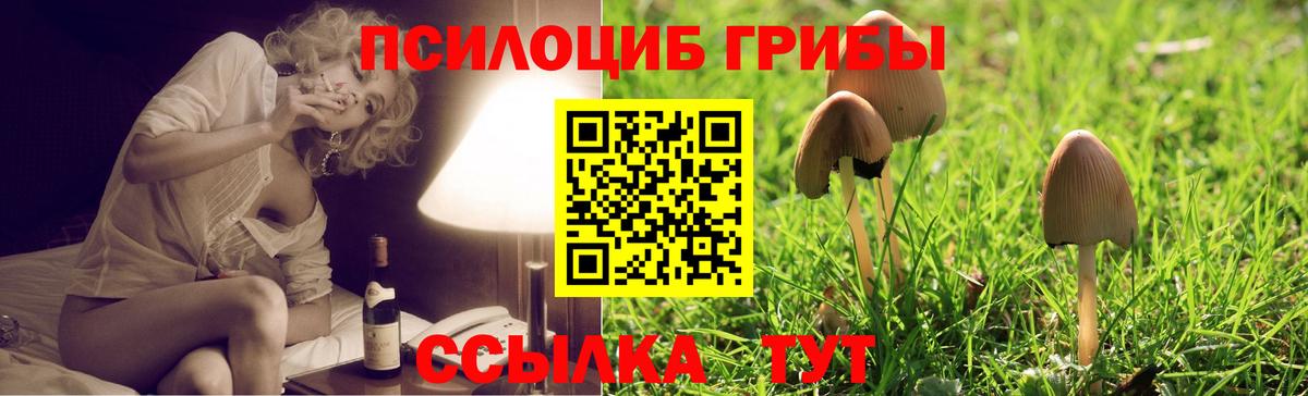 Псилоцибиновые грибы мухоморы Каспийск