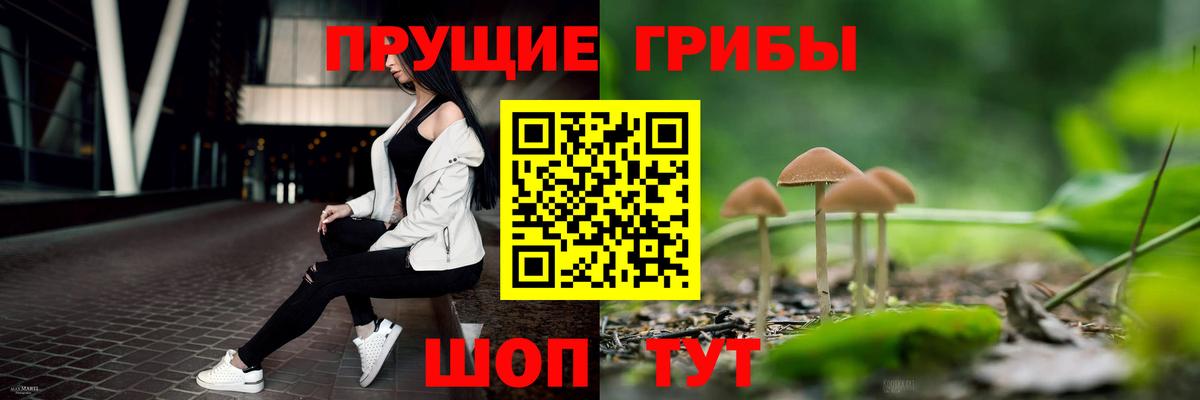 Каспийск  Псилоцибиновые грибы мухоморы  Псилоцибиновые грибы мицелий  Вход с VPN 